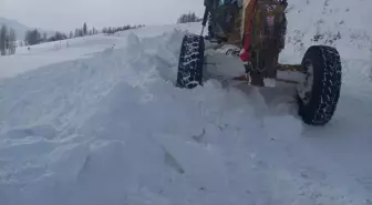 Doğu'da 2 bin 316 yerleşim biriminin yolu kapandı