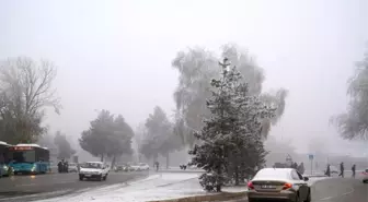 Erzurum'da araç sayısı 152 bin 682 oldu