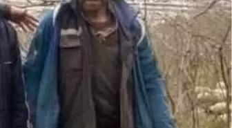 Giresun'da hayvanlarını otlatan çoban, çığ altında yaşamını yitirdi