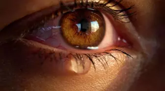 İnsan gözyaşının bilimsel açıklaması: Neden ağlarız?