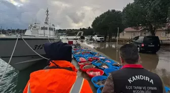 Kandıra'da kaçak avlanan 500 kalkan balığına el konuldu