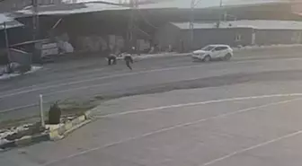 Kazada ölen Aysima'nın ailesinden sürücünün serbest bırakılmasına tepki