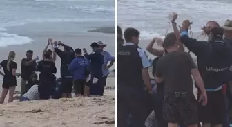 Köpekbalığı sörfçüyü ağır yaraladı! Deniz kırmızıya boyandı