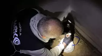 Muğla'da uyuşturucu operasyonu: 3 tutuklama