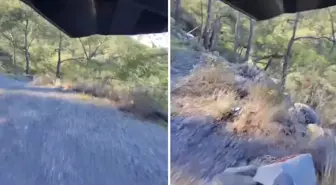 Uçuruma yuvarlanırken tek bir kelime haykırdı