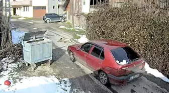 Üzerinden otomobil geçen köpek yürümeye başladı