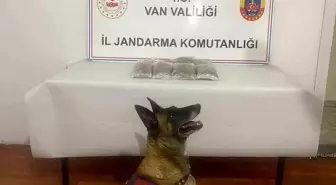 Van'da uyuşturucu madde ele geçirildi
