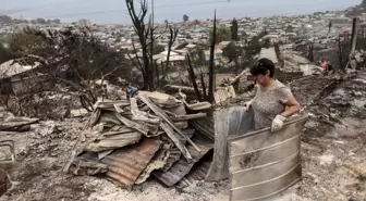 Albüm: Şili'yi Etkisi Altına Alan Orman Yangınlarında Binlerce Hektarlık Alan Kül Oldu
