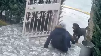 Ankara'da sahipsiz köpeklerin saldırısına uğrayan kadın komşusunun müdahalesiyle kurtuldu