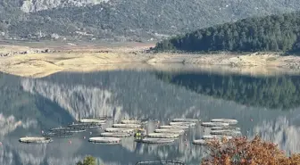 Burdur'daki Karacaören Barajı'nda üretilen alabalık ve somon yurt dışından alıcı buluyor