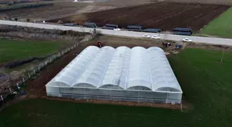 Devlet desteğiyle kendi işlerinin sahibi oldular, üretime başladılar