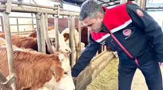 Erzurum'da 2025 yılında üreticiye güçlü destek