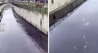 Görenler inanamadı! Dere siyah akmaya başladı