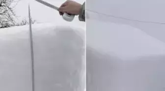 Gümüşhane'de kar alarmı: Vatandaşlar video çekip yardım istedi