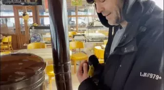 Kastamonu'da kış koşullarında bitkin bulunan ördek, beslenip doğaya salındı