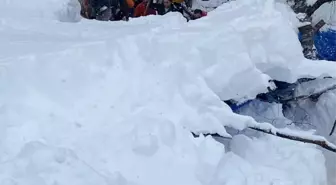 Ordu'da çatısı çöken ağıldaki 7 koyun telef oldu