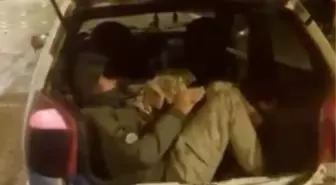 Amasya'da kaçak göçmen operasyonu: 5 Afganistan uyruklu yakalandı