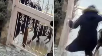 Sahipsiz köpeklerin saldırısına uğrayan kadın komşusunun müdahalesiyle kurtuldu