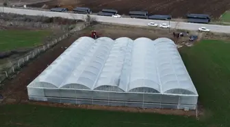 Şehirde asgari ücreti bırakıp köyde kendi işlerini kurdular: Sezonluk getirisi 400 bin TL