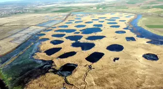 Sıcaklığın eksi 8 dereceye düştüğü Edirne'de, Tunca Nehri ve gölet buz tuttu