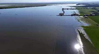 Son 65 yılın en kurak yılını geride bırakan Hatay'da etkili olan yağışla tarım arazileri su altında kaldı