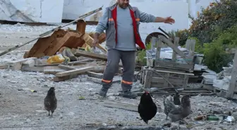 Sosyal medyada görür görmez gurbetteki akrabalarını aradı, onlarca farklı türünü getirtti