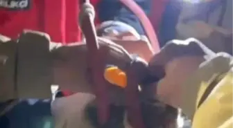 Su pompası deliğine düşen yavru kediyi itfaiye kurtardı