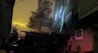 Tokat'ta çıkan yangın kömürlükte hasara neden oldu