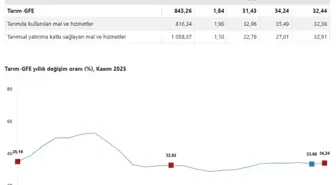 TÜİK: Tarımsal girdi fiyatları kasımda arttı
