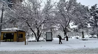 Van, Bitlis, Muş ve Hakkari'de 1030 yerleşim yerine ulaşım sağlanamıyor