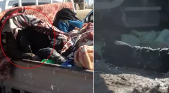 YPG'nin Haseke'de katlettiği 10 sivilin cesedine ulaşıldı