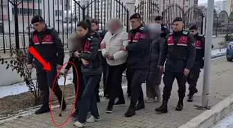 87 yaşındaki kadın devleti 15 milyon TL zarara uğrattı! Yaptığı şeytanın aklına gelmez