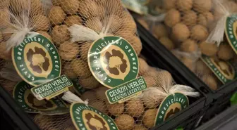 A101, yerli cevizi üreticisinden tüketiciye taşıyacak