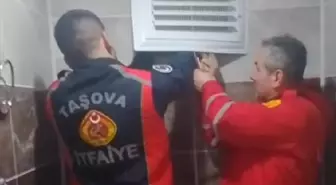 Amasya'da apartman boşluğunda mahsur kalan kargayı itfaiye kurtardı