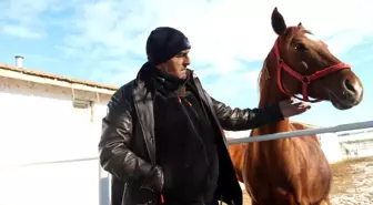 At yetiştiriciliğinin kış zorlukları