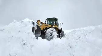 Bingöl'de karla mücadele çalışmaları gece gündüz sürüyor