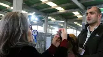 KOSGEB desteğiyle kurduğu işletmede 'Tavuk Doktoru' markasıyla kanatlı sağlığına odaklandı