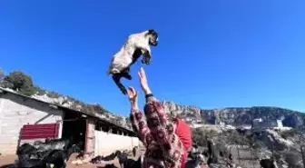 Mersinli Yörük kızı, baba mesleğiyle kültürünü yaşatıyor