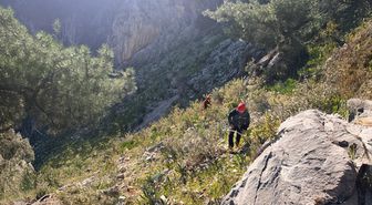 Muğla'da kayalıklarda mahsur kalan iki oğlağı AFAD ekibi kurtardı