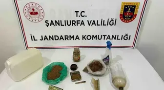 Şanlıurfa'da uyuşturucu operasyonu: 9 gözaltı