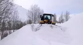 Şırnak'ta karla mücadele çalışmaları sürüyor