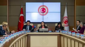 TBMM Suça Sürüklenen Çocuklara İlişkin Araştırma Komisyonu, İstanbul Emniyet Müdürlüğü yetkililerini dinledi