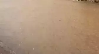 Bozcaada'da sokaklar göle döndü