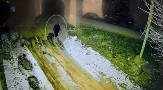 Diyarbakır'da kayıp kadının son görüntüsü ortaya çıktı