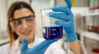 Fındık kabuğu aktif karbona dönüşerek birçok sektöre ham madde olacak