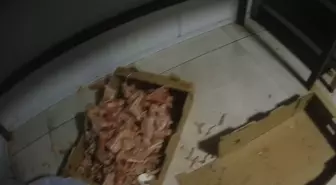 Çayırova'da Ruhsatsız Tavuk Eti Parçalama Tesisi Mühürlendi