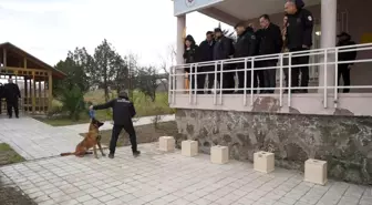 OMÜ'de yetiştirilen görev köpeği 'Pars', Samsun Emniyeti'ne teslim edildi