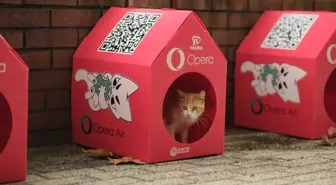 Opera'dan sokak kedileri için sürdürülebilir yaşam alanı: 'Kedi Mahallesi'