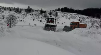 Ordu'da kar ve tipi nedeniyle ulaşımda aksamalar yaşandı