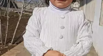 Sokak köpeklerinin saldırısına uğrayan Nazlı, ağır yaralandı